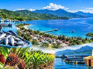 Ilustrasi kawasan transmigrasi bahari Tomini Raya. Foto: PPID
