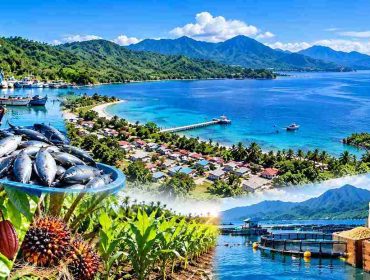 Ilustrasi kawasan transmigrasi bahari Tomini Raya. Foto: PPID
